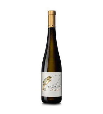 Alvarinho Green Wine Chameleon