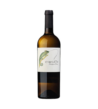 Valkoviini Chameleon Sauvignon Blanc