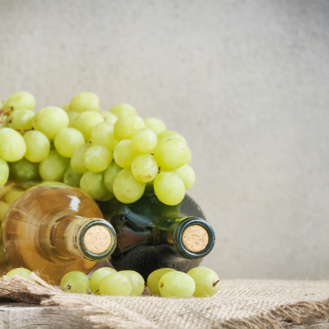 Soc. Agrícola Jorge Rosa Santos