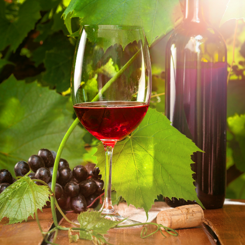 Herdade do Rocim (Cuba)