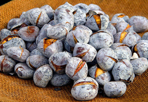 Especial São Martinho