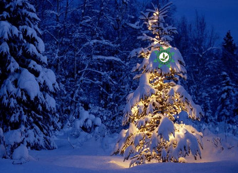 Acompanhamentos de Natal