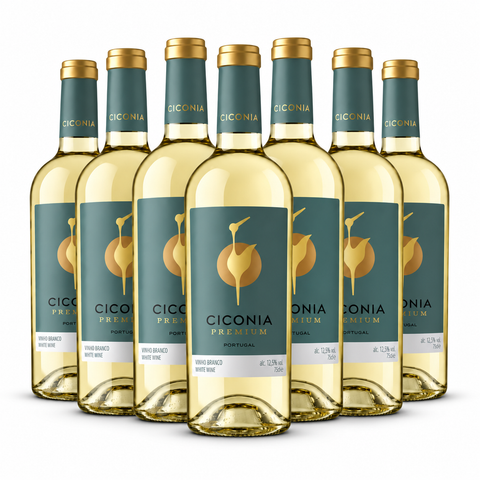 Vinho Alentejo CICONIA Premium - PACK 6*75CL
