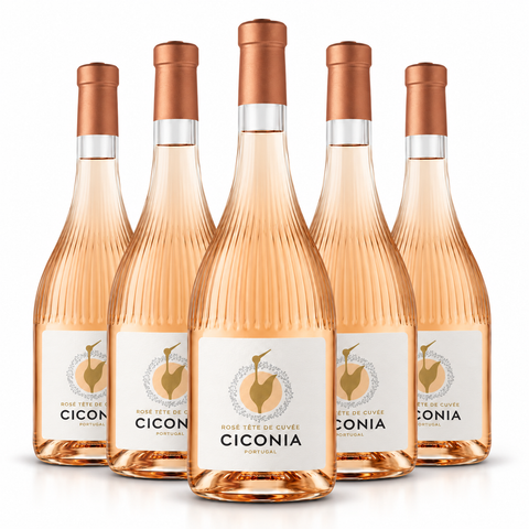 Vinho Alentejo CICONIA Premium - PACK 6*75CL