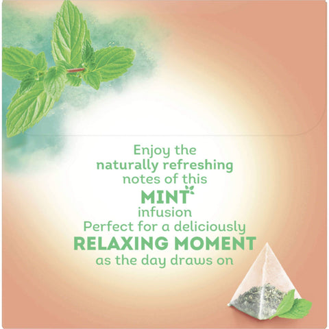 Sachets de thé à la menthe en forme de pyramide