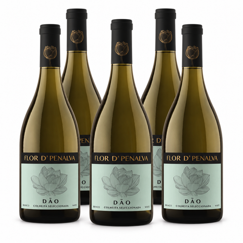 Vinho Flor D’Penalva Colheita Selecionada Dão - PACK 6*75cL