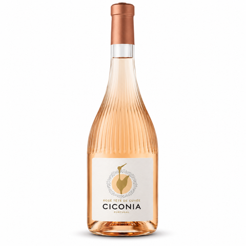 Vinho Alentejo CICONIA Premium