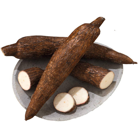 Manioc
